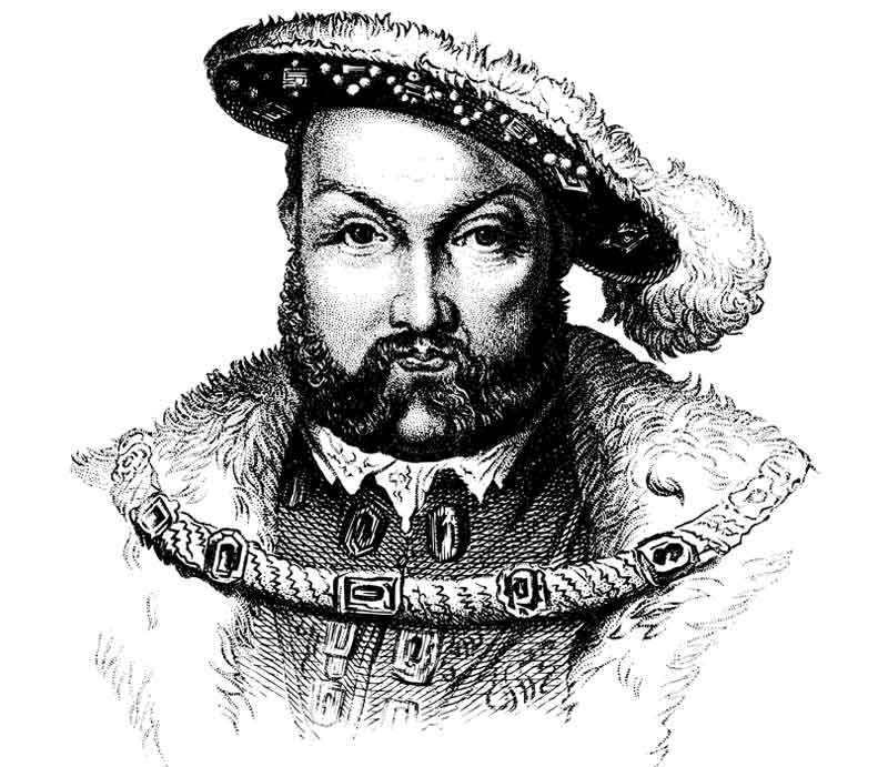Henry VIII King's portrait illustration.